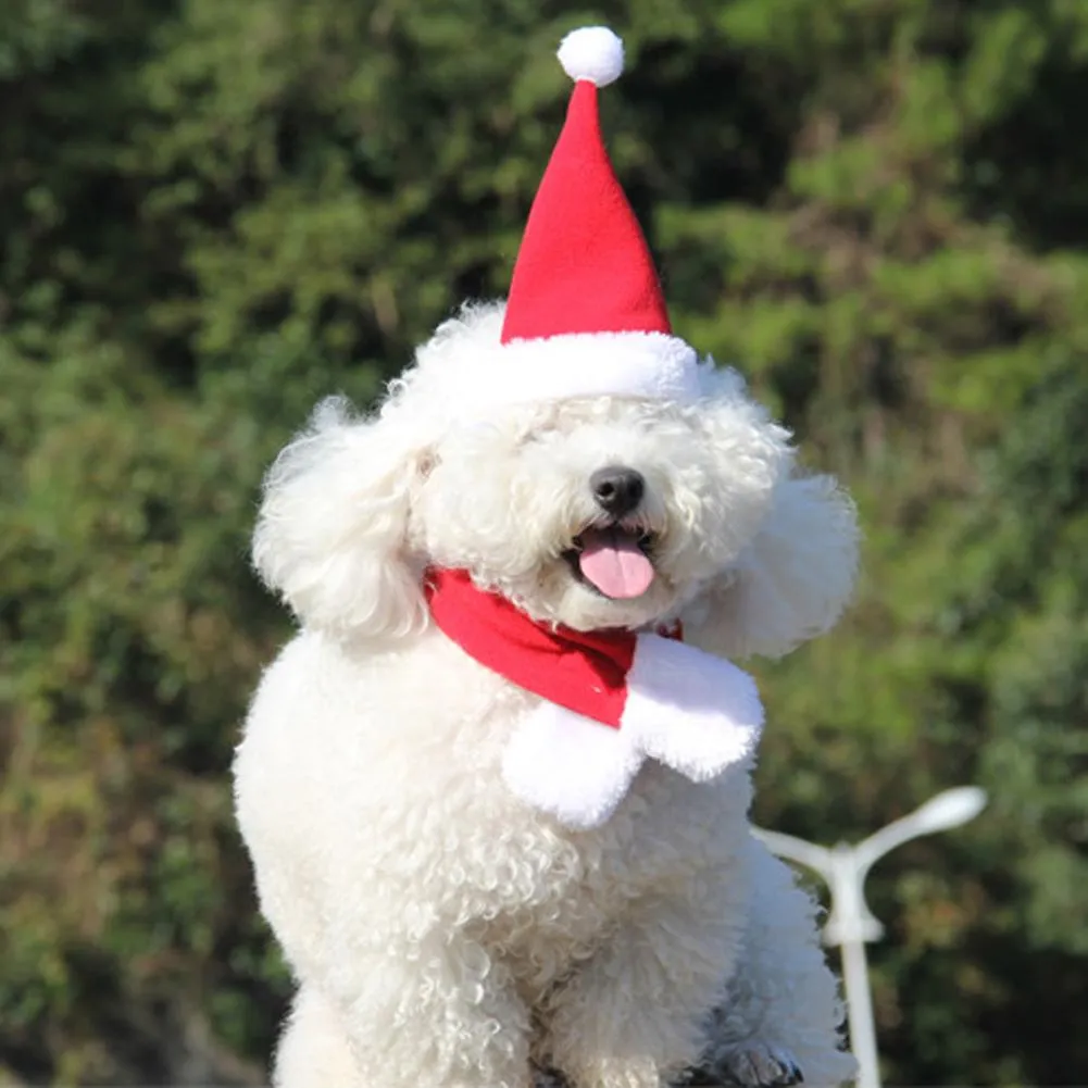 2pcs Pet Cat Dog Santa Hat Scarf Christmas Xmas Red Holiday Costume