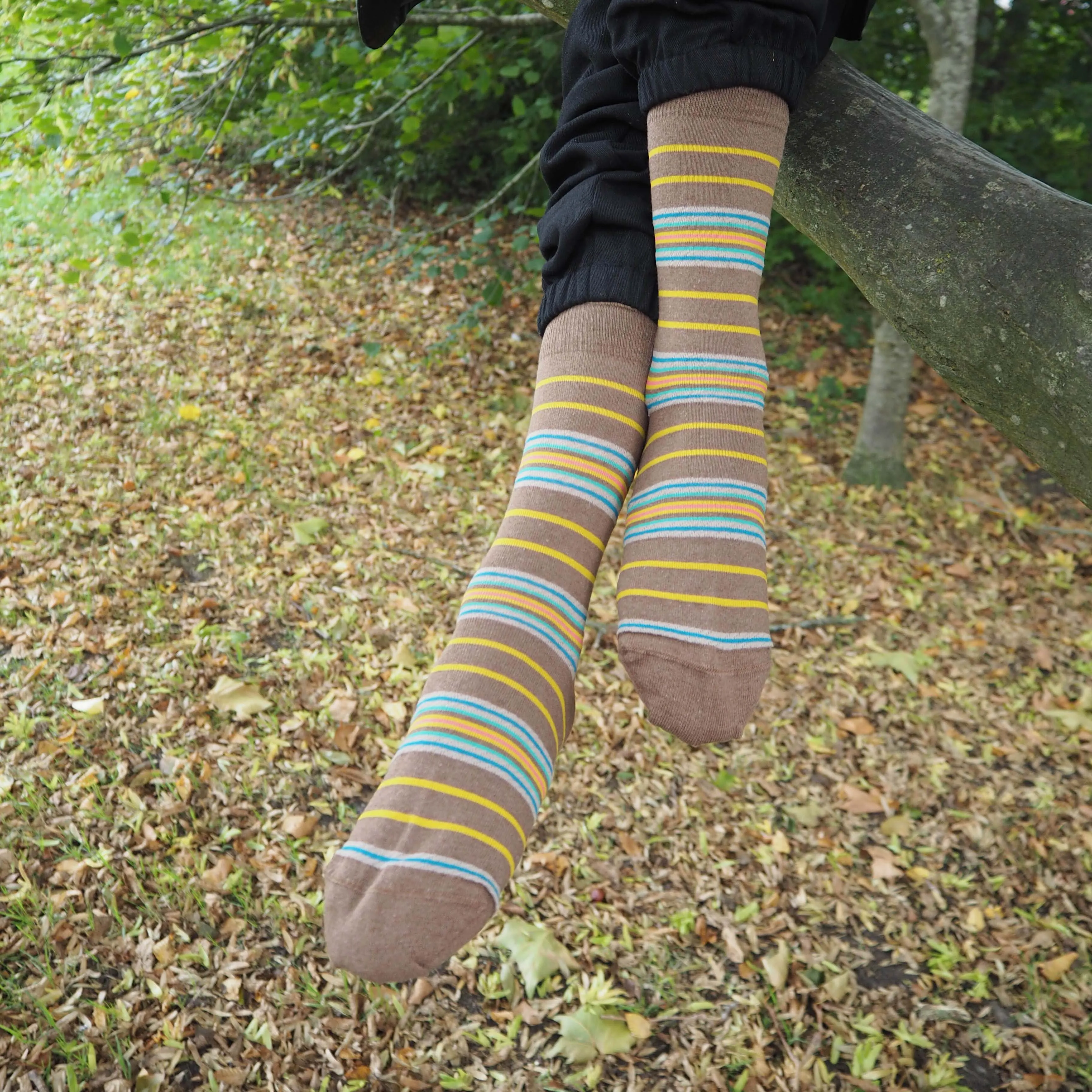 Ayame Multi Stripe Women's Socks - Brown