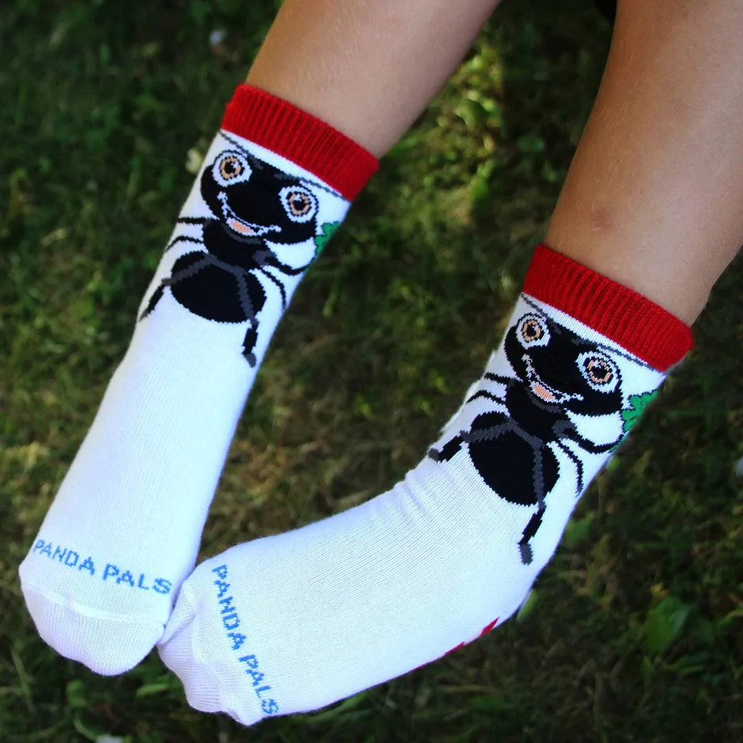 Friendly Ant Socks (Age 3-5)