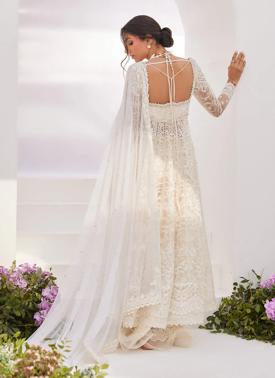 Maelle Ivory Embroidered and Embellished Kalidaar