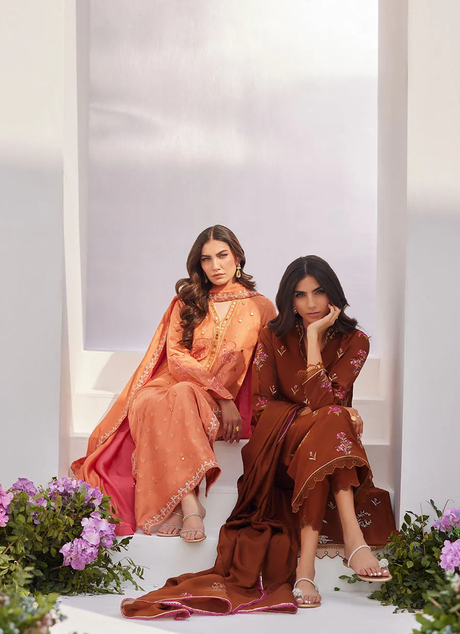 Noemie Chocolate Embroidered Raw Silk Shirt and Dupatta